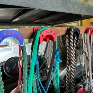 Custom Bridle and Halter Holder